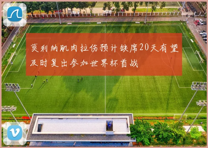 莫利纳肌肉拉伤预计缺席20天有望及时复出参加世界杯首战